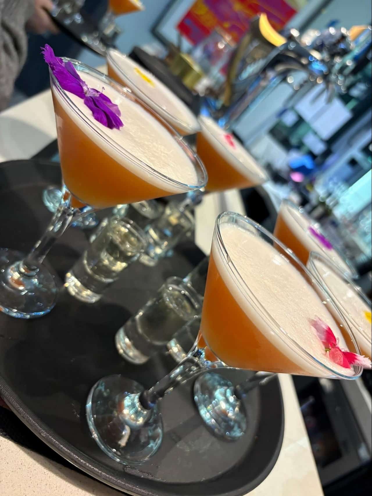 Drink Gallery 12